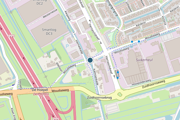 Politie-melding op Woudseweg, Den Hoorn ZH op 6 mei, kaart-overzicht