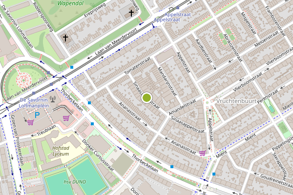 Ambulance-melding op Sinaasappelstraat, Den Haag op 21 juli, kaart-overzicht