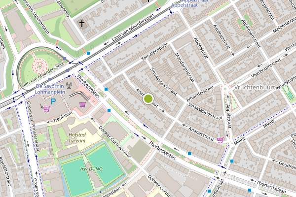 Ambulance-melding op Ananasstraat, Den Haag op 21 juli, kaart-overzicht