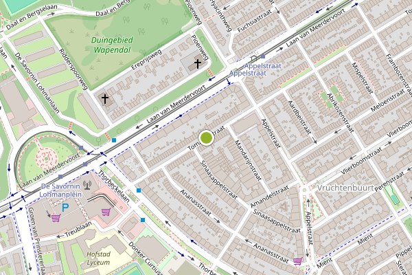 Ambulance-melding op Tomatenstraat, Den Haag op 21 juli, kaart-overzicht