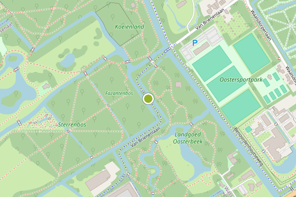 Ambulance-melding op Van Brienenlaan, Wassenaar op 29 juli, kaart-overzicht