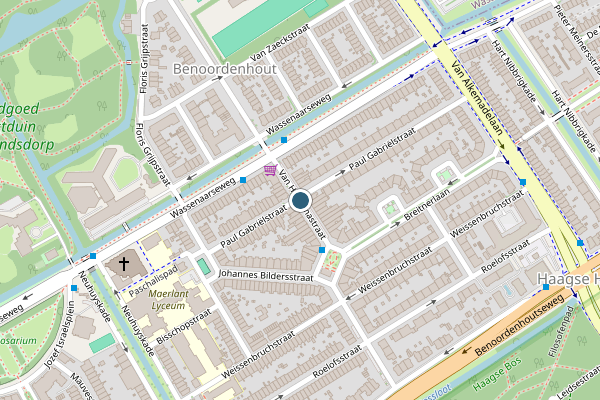Ambulance + Brandweer + Politie samen ter plaatse op Van Hoytemastraat, Den Haag op 30 juli, kaart-overzicht nieuws-bericht