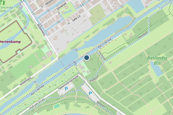 Politie-melding op Hazepad, Delfgauw op 21 mei, kaart-overzicht