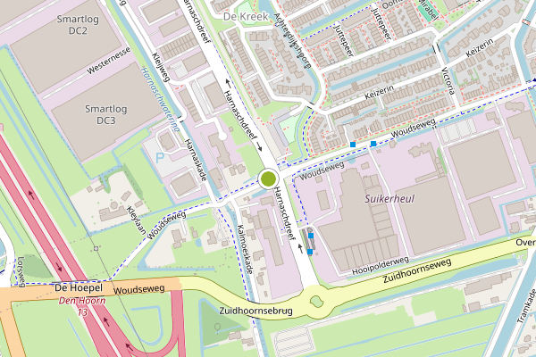 Ambulance-melding op Woudseweg, Den Hoorn ZH op 30 mei, kaart-overzicht