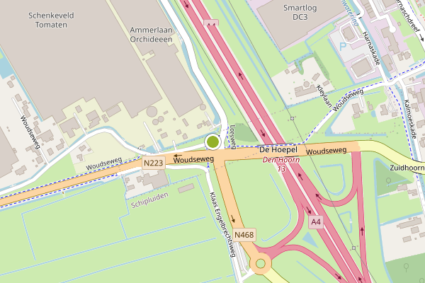 Ambulance-melding op Woudseweg, Den Hoorn ZH op 30 mei, kaart-overzicht