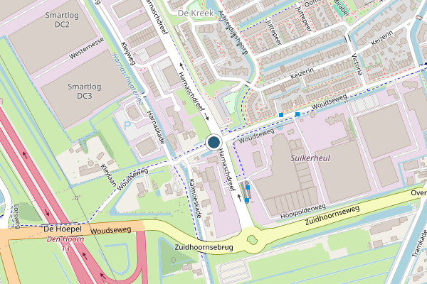 Politie-melding op Woudseweg, Den Hoorn ZH op 30 mei, kaart-overzicht