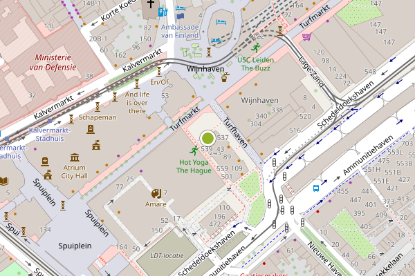 Ambulance-melding op Turfhaven, Den Haag op 4 juni, kaart-overzicht