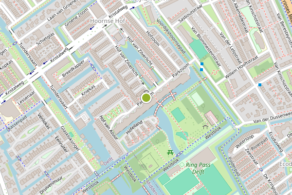 Ambulance-melding op Parkzoom, Delft op 6 juni, kaart-overzicht