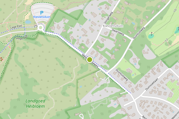 Ambulance-melding op Meijendelseweg, Wassenaar op 7 juni, kaart-overzicht