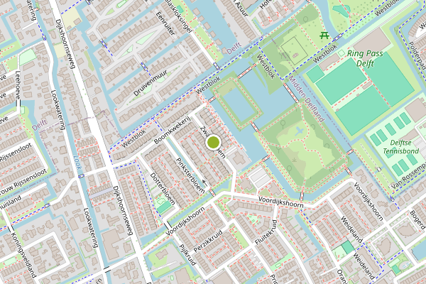 Ambulance-melding op Zwanebloem, Den Hoorn ZH op 8 juni, kaart-overzicht