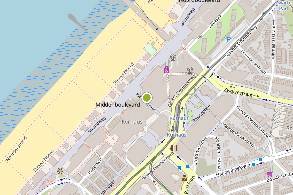 Ambulance-melding op Palacestraat, Den Haag op 11 juni, kaart-overzicht