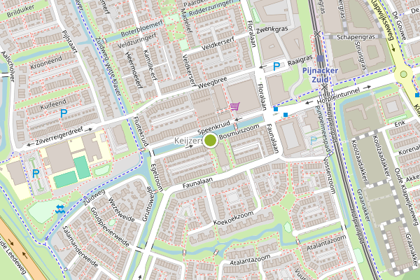 Ambulance-melding op Bosmuiszoom, Pijnacker op 15 juni, kaart-overzicht
